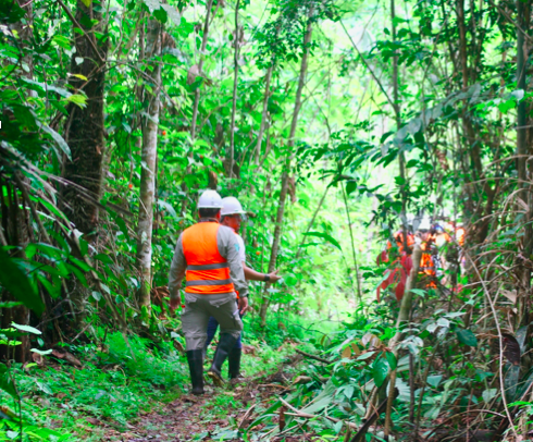 SECTOR FORESTAL PERUANO - SPANISH