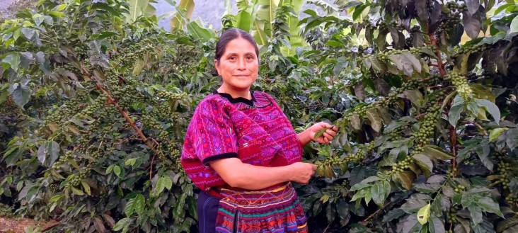 An indigenous Guatemalan woman on her coffee plantation.