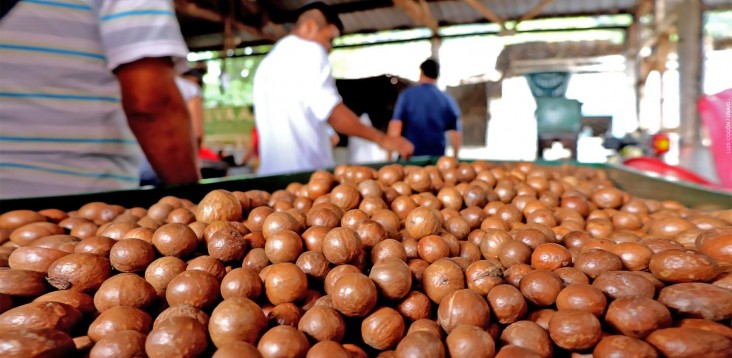 Produce for sale at an open-air market