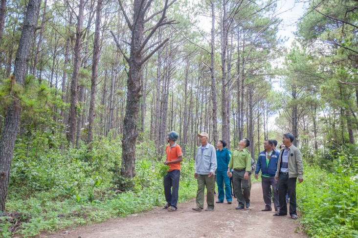 USAID helps Vietnam protect its forests.