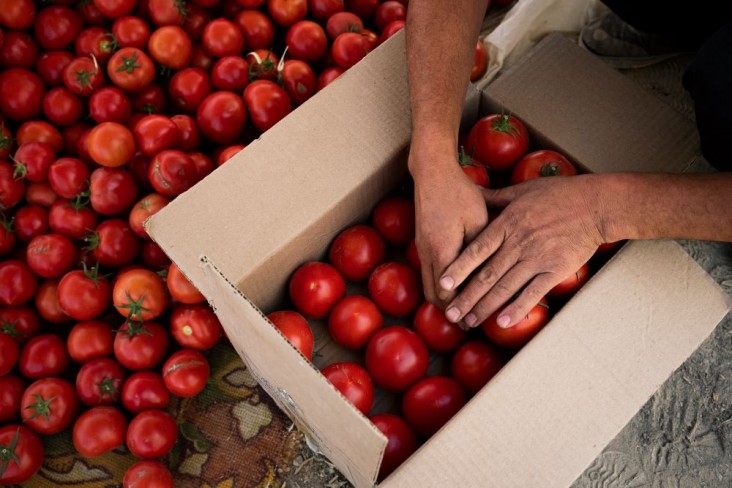 The new funding from USAID will be directed towards programs to enhance food storage and logistics facilities in the Osh, Jalal-Abad and Batken Oblasts and prevent loss of critical agricultural products. 