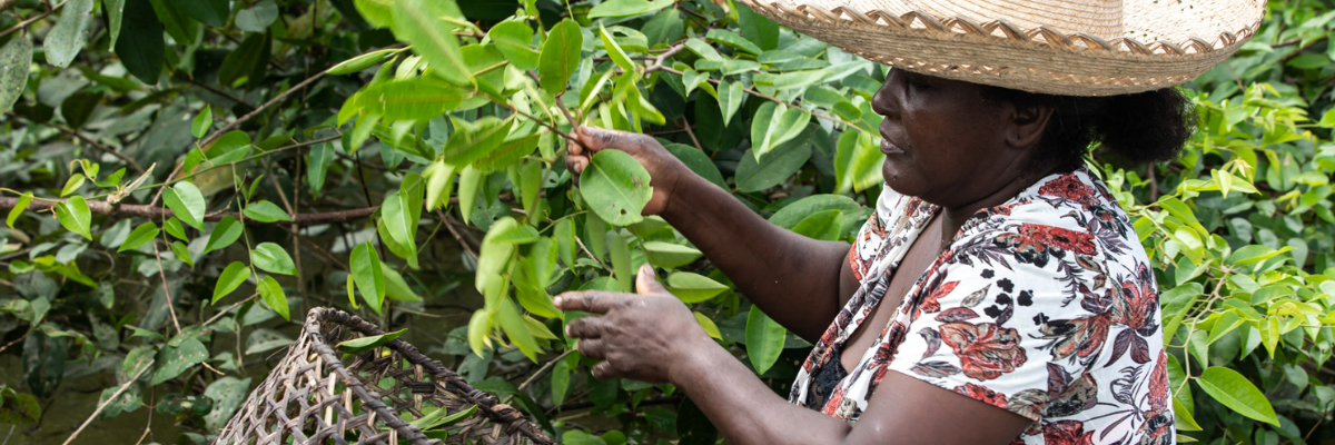 Afro-Colombian woman in Guapi