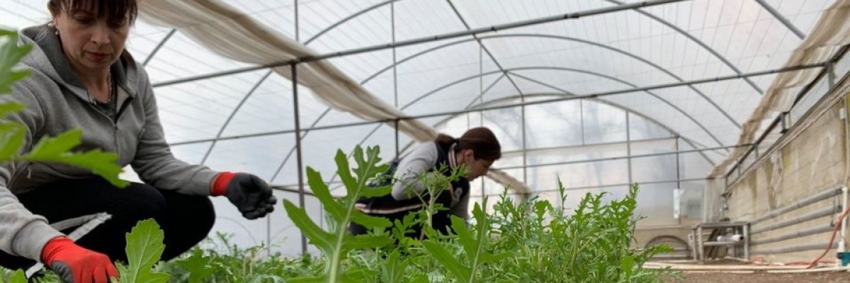 Women in Agriculture. Credit: USAID/Armenia